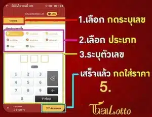 thailotto(5)